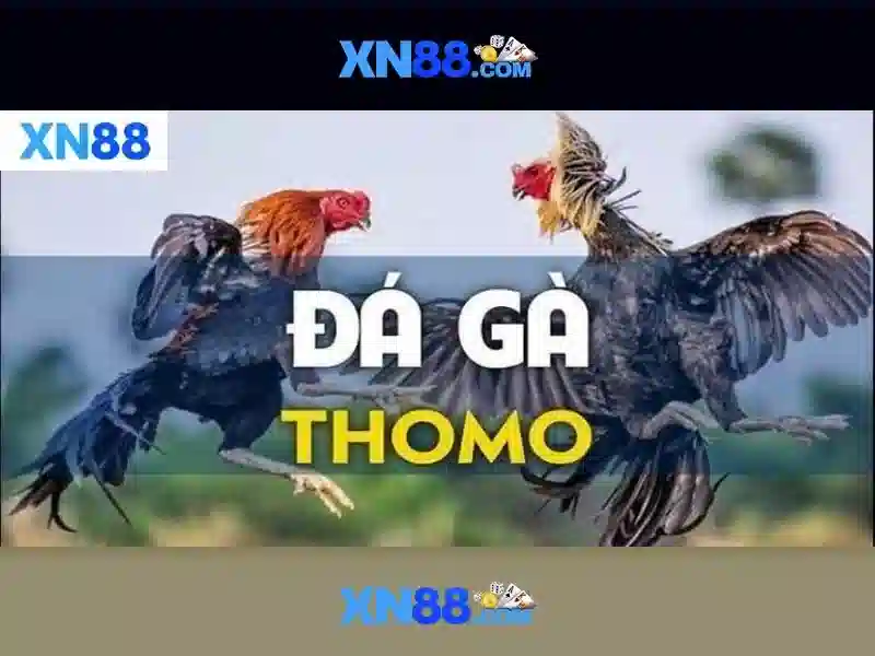 Tải App XN88 Win
