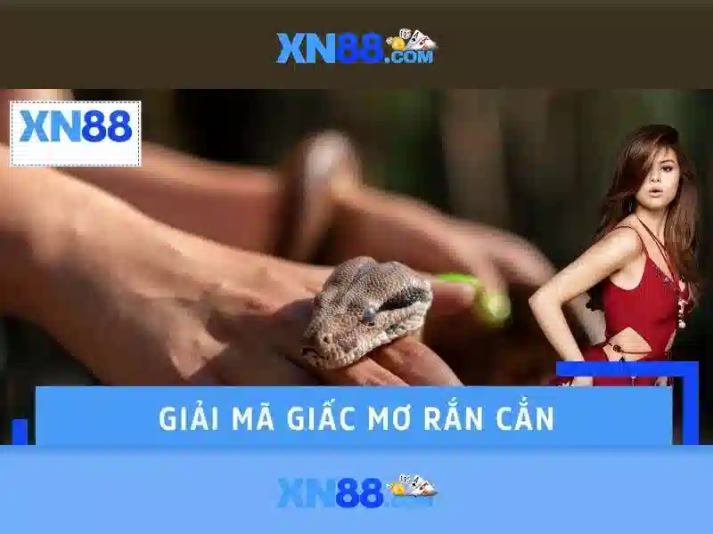 XN88