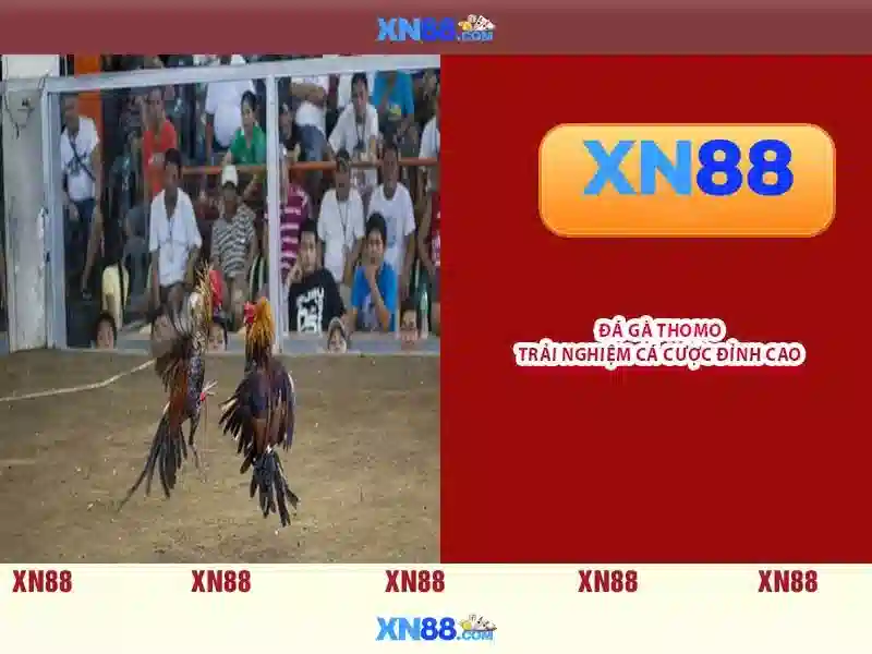 Ưu Đãi XN88 Game Slot 2026