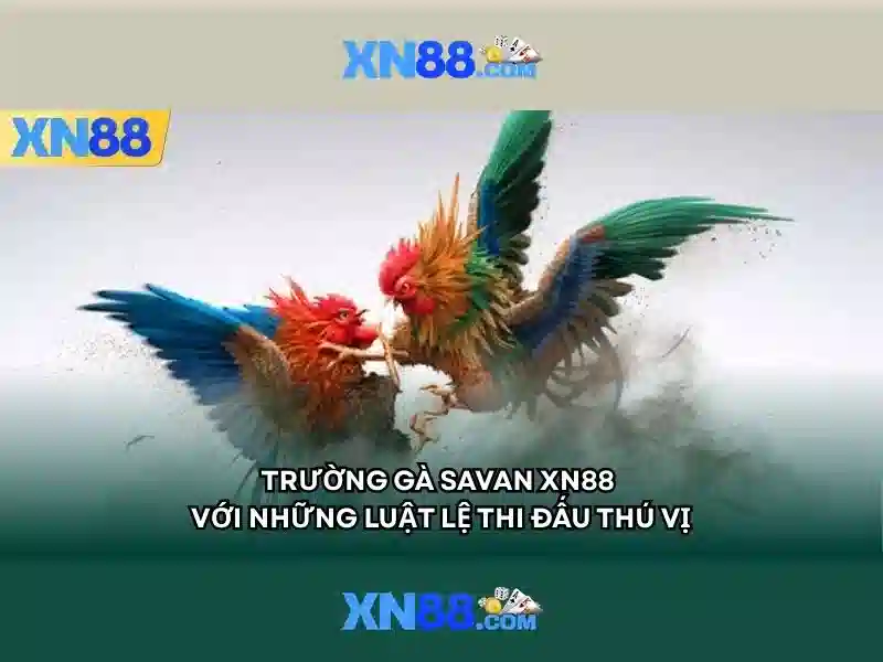 app xn88 – Tính Năng Nổi Bật Cho Người Chơi