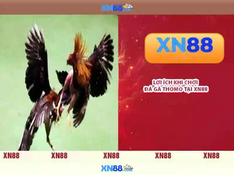 Lợi Ích Đăng Nhập XN88