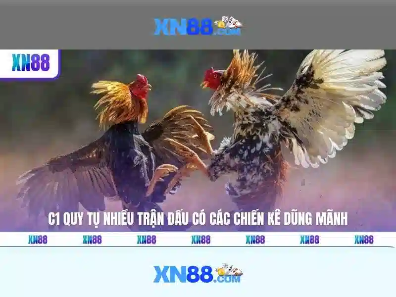 Đa Dạng Thể Loại Slot