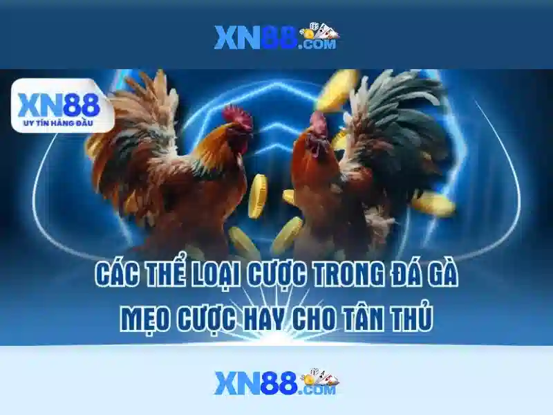 XN88 App – Ứng Dụng Slot Đa Dạng, Trải Nghiệm Đỉnh Cao 2026