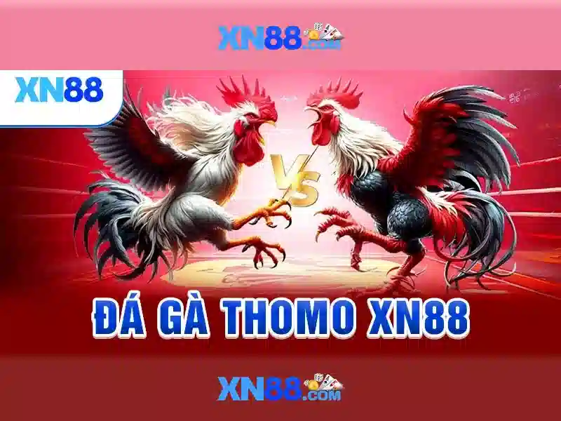 Trải Nghiệm Cá Cược Slot