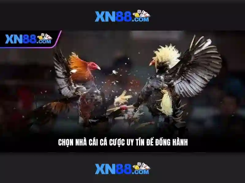 Tính năng Slot XN88