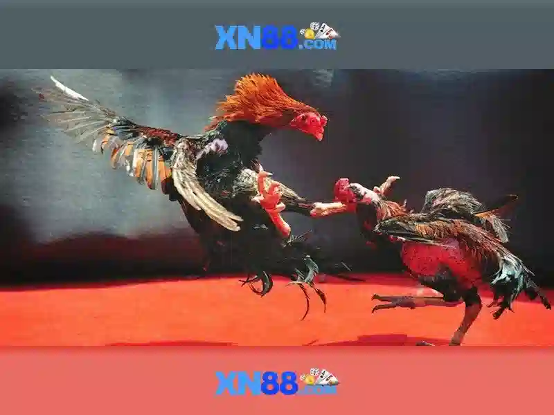 XN88 Casino – Trải Nghiệm Slot Đỉnh Cao Không Thể Bỏ Lỡ