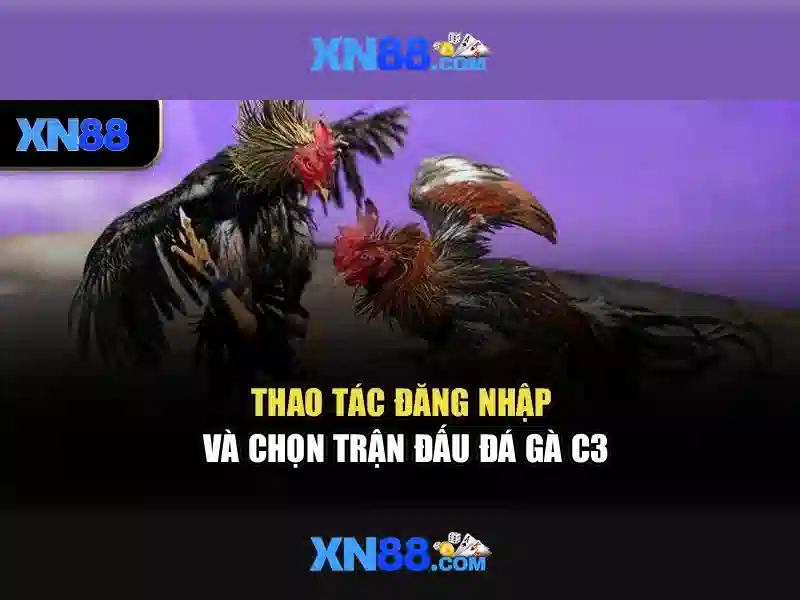 XN88 - Trải Nghiệm Cá Cược Trực Tuyến Đỉnh Cao Với XN88 App Com 2026