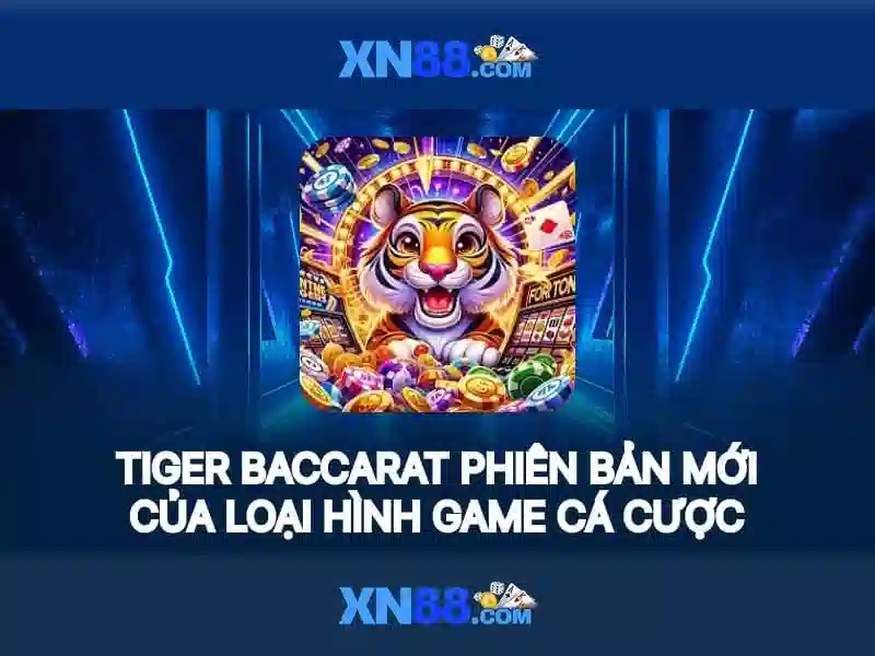Tại Sao Nên Chọn XN88 Bshrf