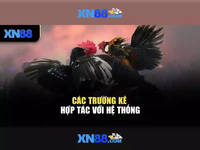 XN88 Đăng Ký Và Nạp Tiền