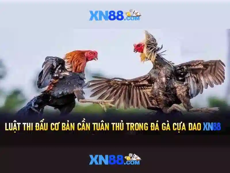 Khuyến Mãi Hấp Dẫn Cho Người Chơi XN88