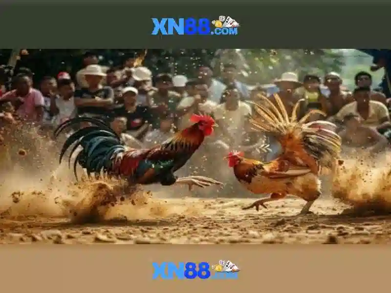 tính năng game xn88