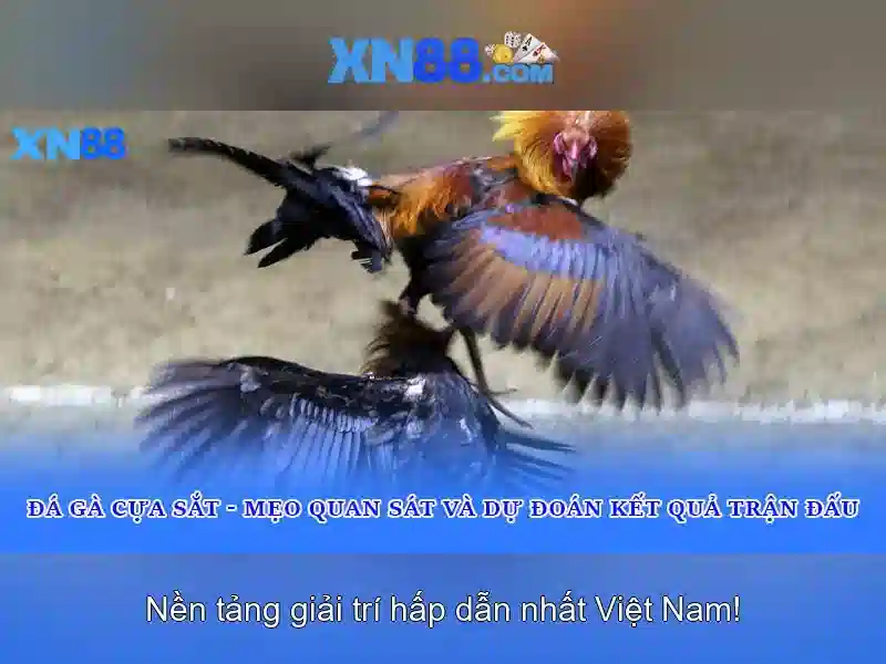Ưu Đãi Độc Quyền Cho Thành Viên XN88 Win
