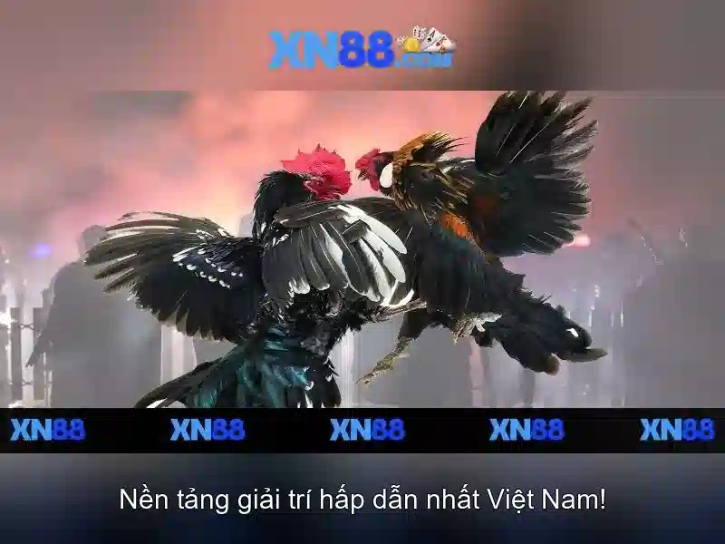 Trải nghiệm cá cược SLOT đa dạng
