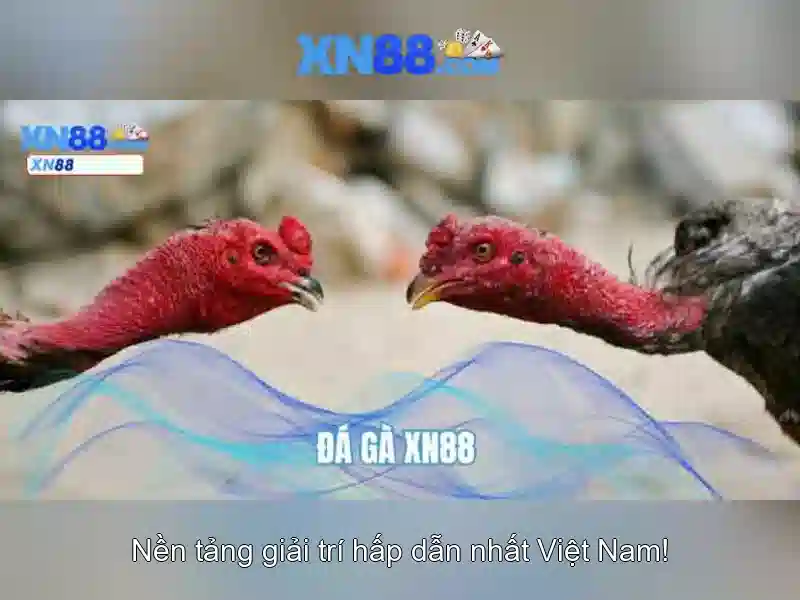 Trải nghiệm Slot đỉnh cao