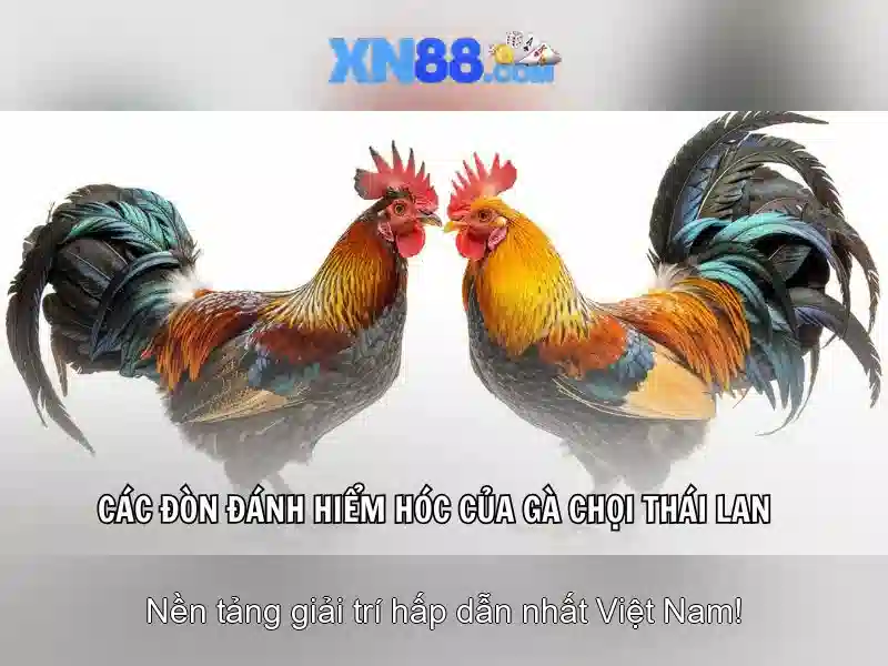 XN88 - Trang Chủ Slot Đỉnh Cao | Tìm Hiểu XN88 Là Gì 2026