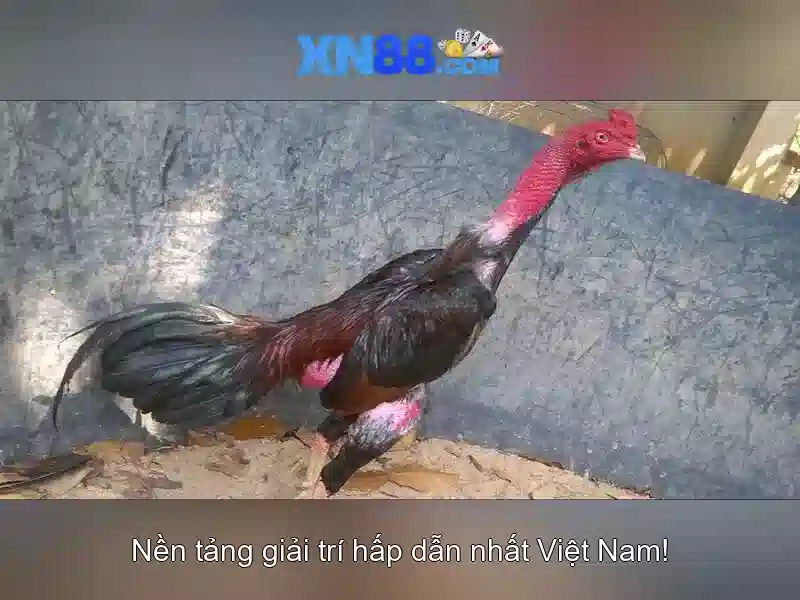 CHƯƠNG TRÌNH ƯU ĐÃI