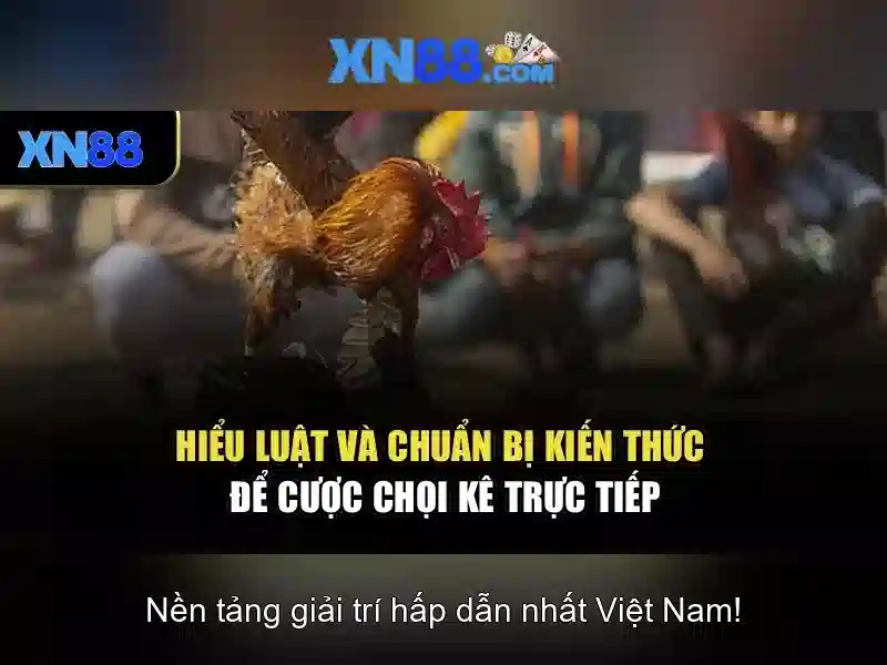 Ưu Đãi XN88