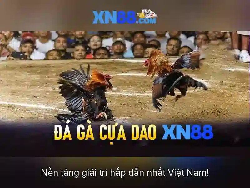 Hướng dẫn nạp tiền