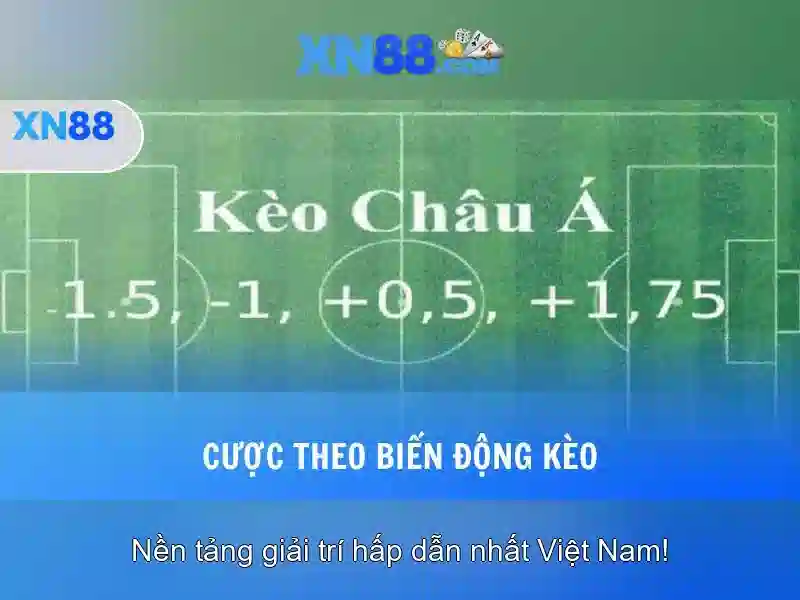 Tính Năng Độc Quyền Của App XN88