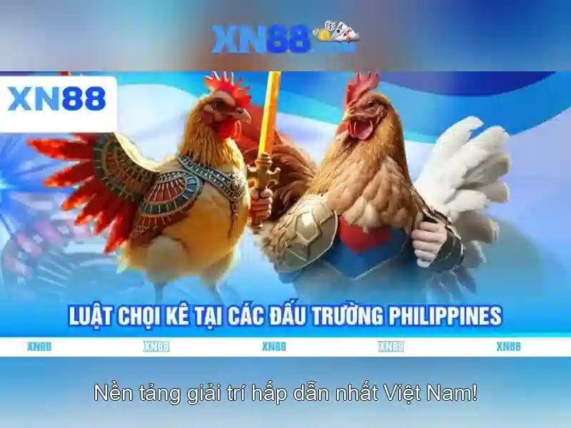 Tính năng quản lý tài chính XN88