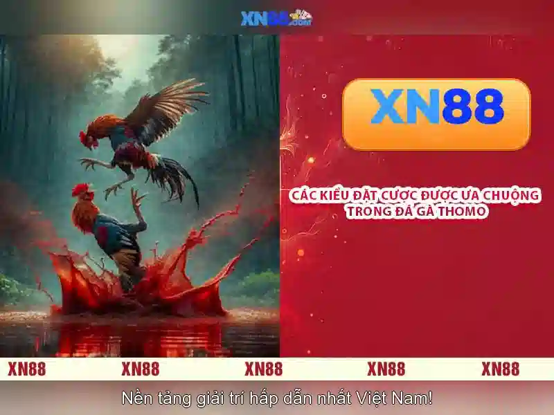 Ưu Đãi Tải XN88