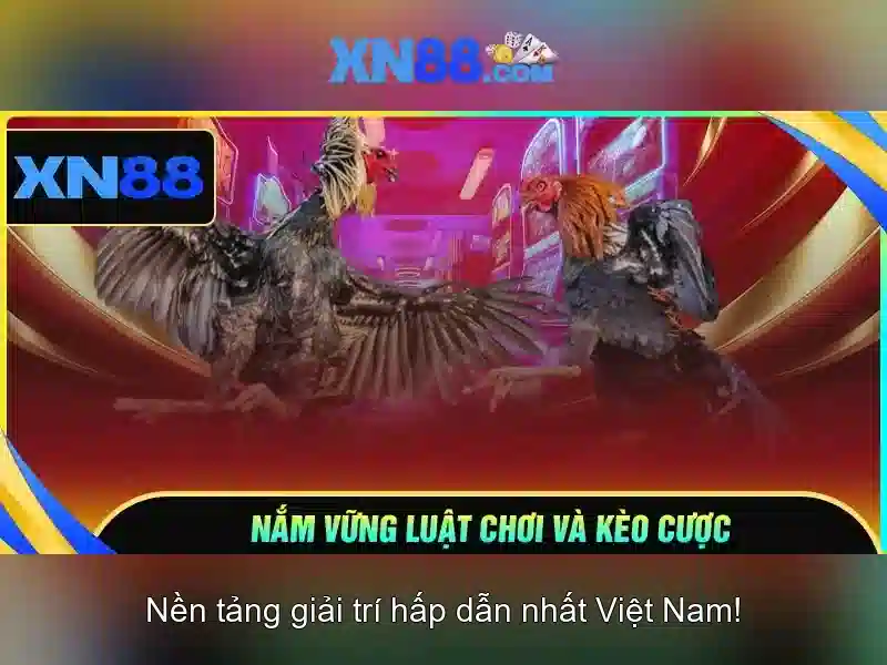 Ưu đãi độc quyền tại XN88