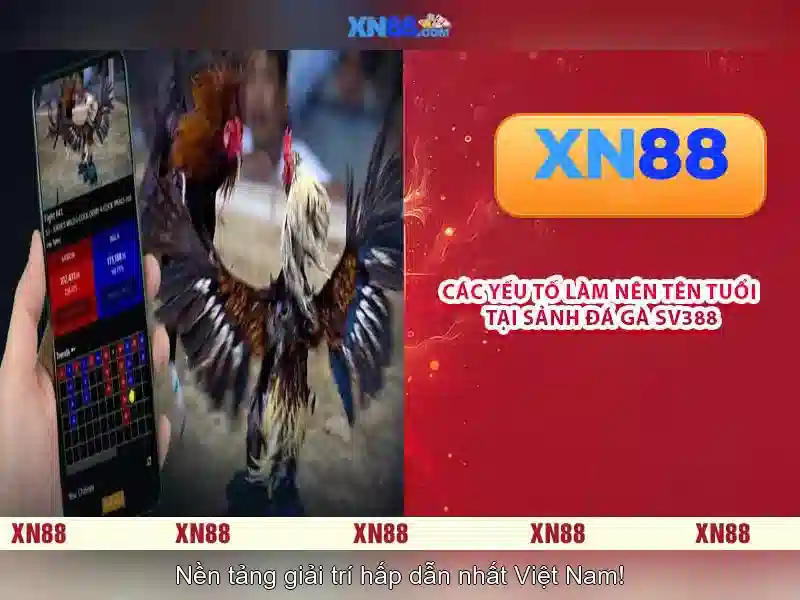 XN88 – Trang Chính Thức Được Tài Trợ | Trải Nghiệm Slot Đỉnh Cao