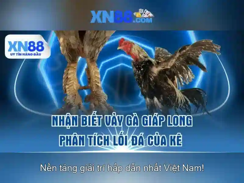 Trải Nghiệm Slot Đỉnh Cao