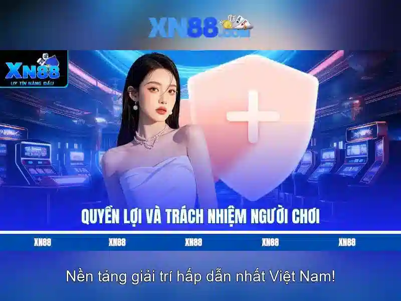 Điều Khoản Sử Dụng