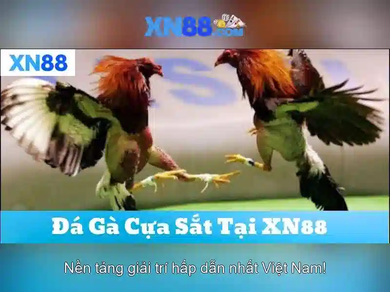 XN88 Slot