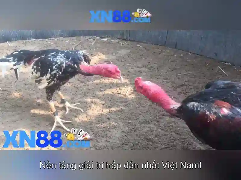 XN88 Slot đa dạng