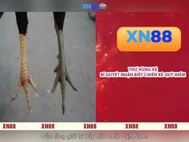 Chiến Lược Chơi Esport Slot