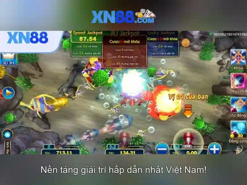 Đặc Điểm Nổi Bật